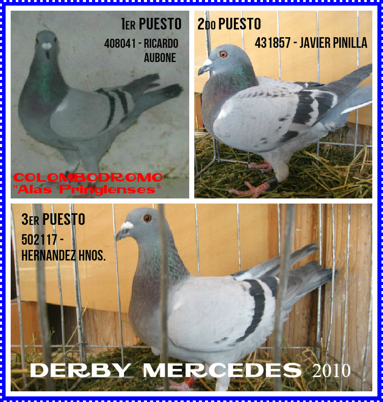 derbypalom10